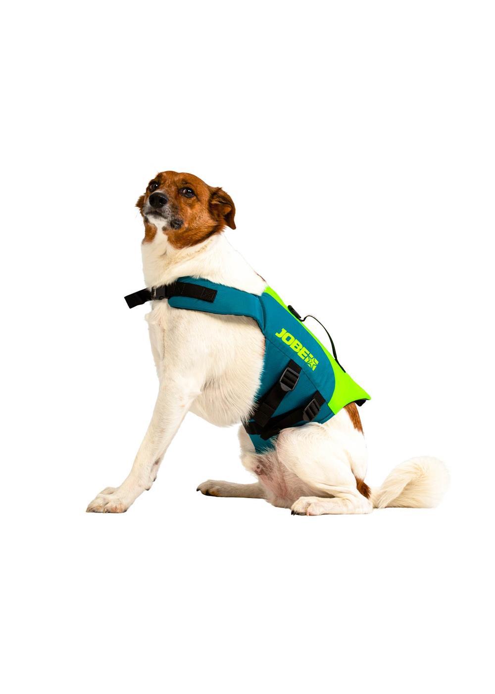 Jobe Dog Life Jacket Lime Teal - Jobe Sports Australia