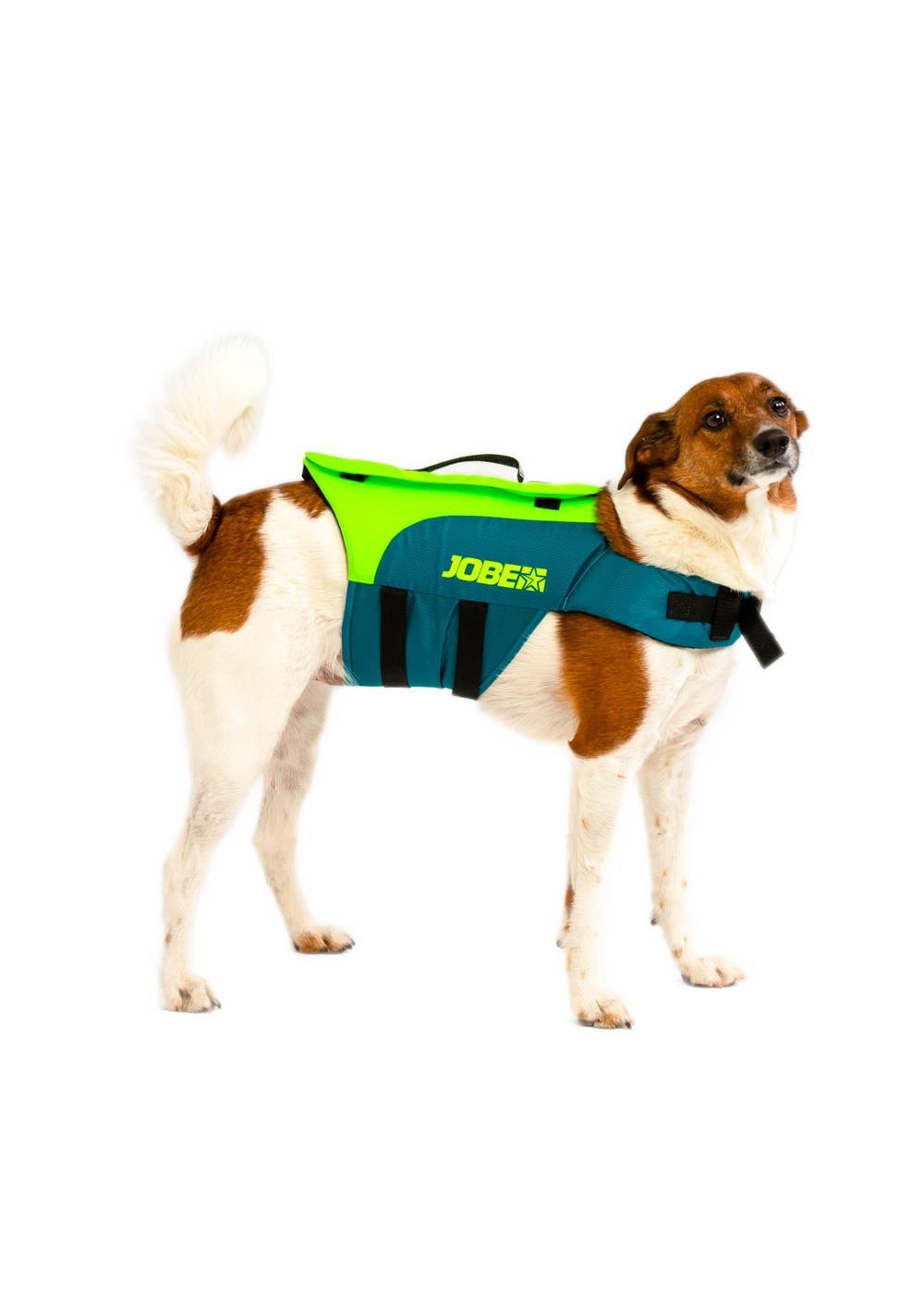 Jobe Dog Life Jacket Lime Teal - Jobe Sports Australia
