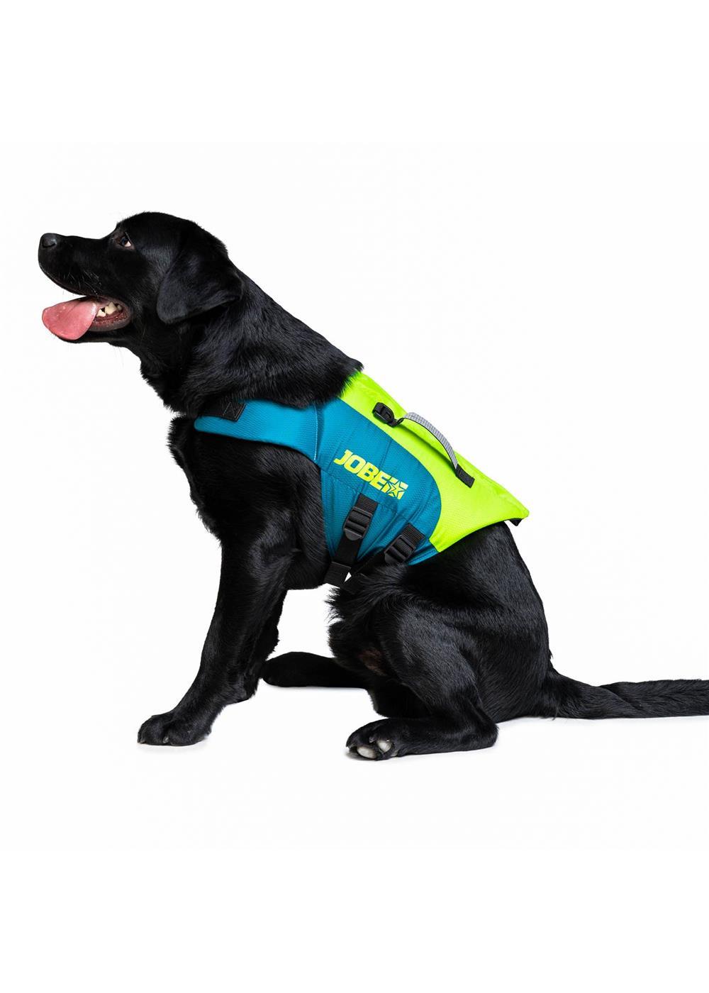 Jobe Dog Life Jacket Lime Teal - Jobe Sports Australia