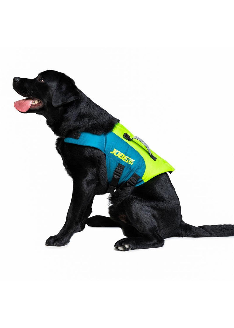 Jobe Dog Life Jacket Lime Teal