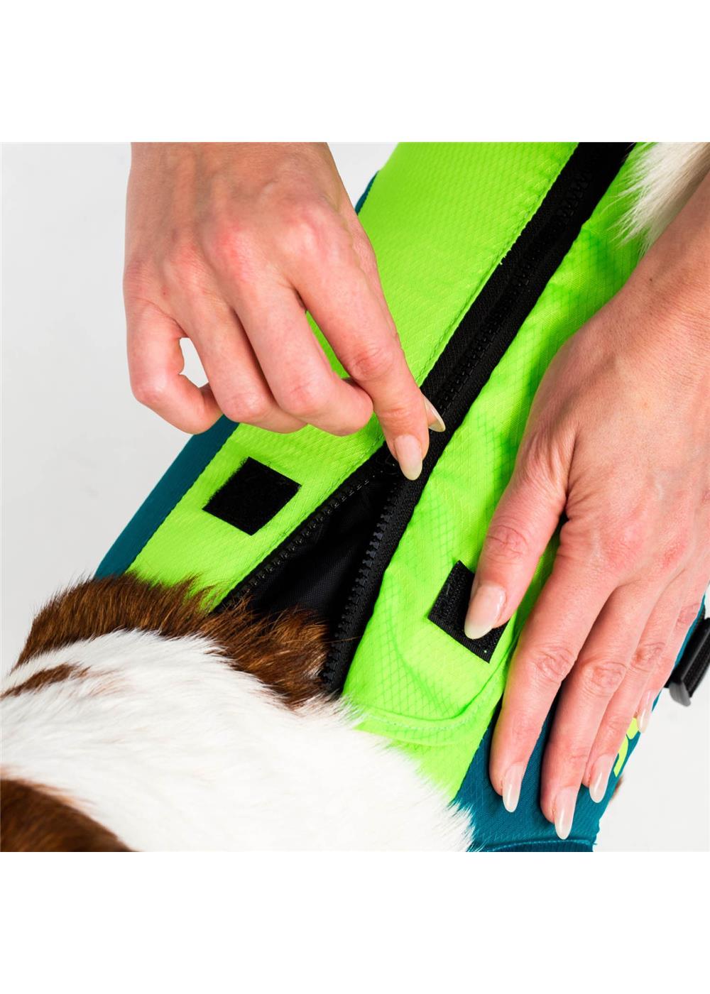 Jobe Dog Life Jacket Lime Teal - Jobe Sports Australia