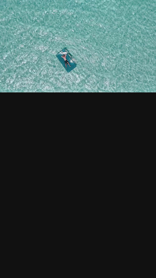 Manta  Video
